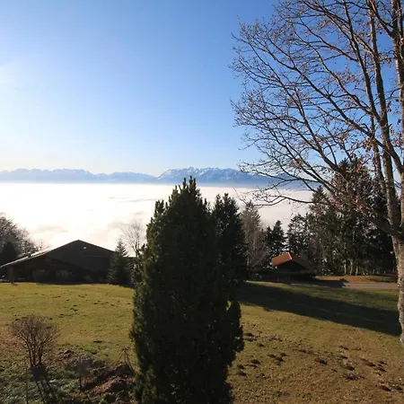 Fernblick *