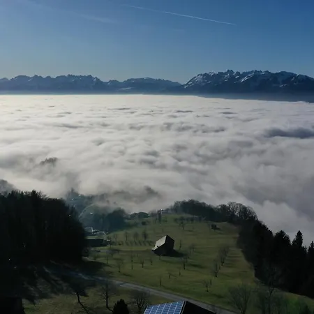 Fernblick
