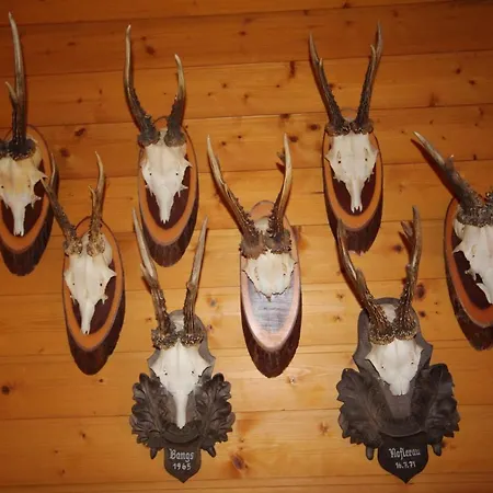 Fernblick Дом отдыха